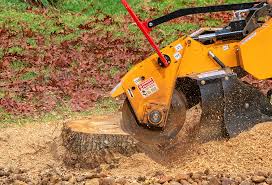 Trusted Chrisman, IL Tree Services Experts
